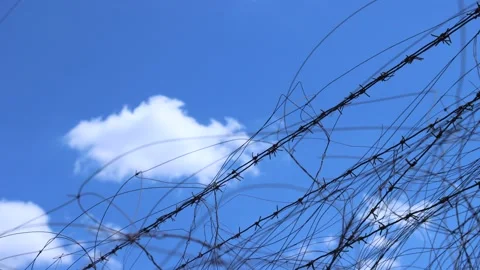Barbed wire on a background of clouds - time lapse footage. Stock Footage 148071766
