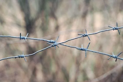 Barbed wire on a background of forest Stock Photos