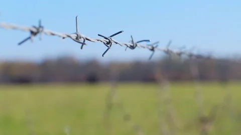 Barbed wire on background of a green field and blue sky. moving forward Stock Footage 162924590