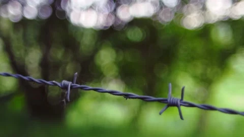 Barbed wire on the background of the nature Stock Footage 186538347