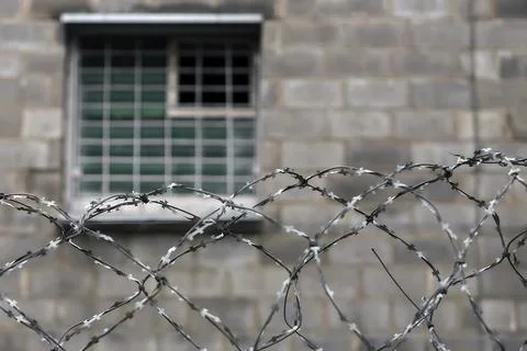 Barbed wire on the background of a prison window. Stock Photos