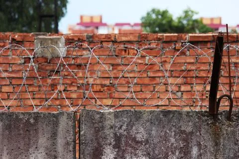 Barbed wire on a background of red brick wall Stock Photos