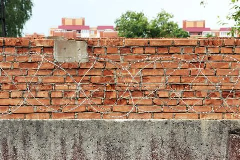 Barbed wire on a background of red brick wall Stock Photos