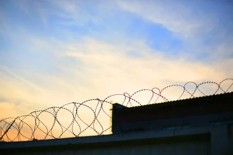 Barbed wire on the background of the sunset Stock Photos