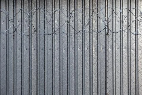 Barbed wire on the background of a tin tin fence. High metal fence. Stock Photos