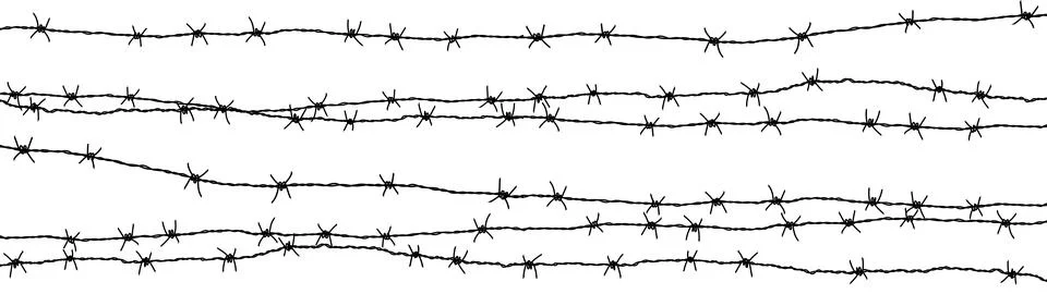 Barbed wire background. Vector illustration isolated on white. Stock Illustration