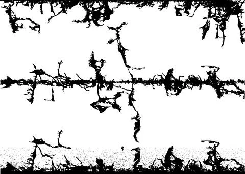 Barbed wire with barbed wire against a white background, fence lines Stock Illustration