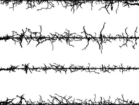 Barbed wire with barbed wire against a white background, fence lines Stock Illustration