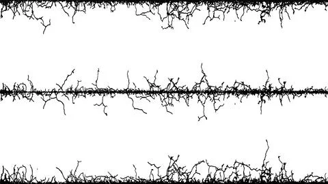 A barbed wire with barbed wire, barbed wire with a line Stock Illustration