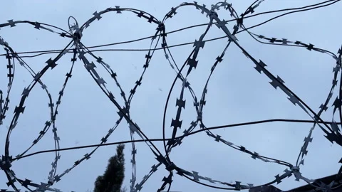 Barbed wire. Barbed wire of the confinement zone. Stock Footage 166174496