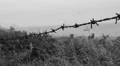 Barbed wire by the beach. HD Footage