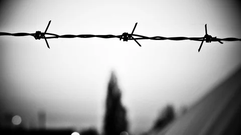 Barbed wire, Black and white, Shaky hand shot Stock Footage 77982014