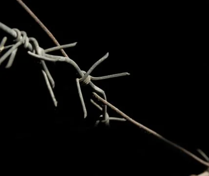 Barbed wire black background Stock Photos