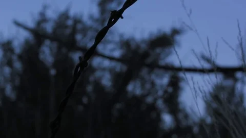 Barbed Wire in blue hour (Handheld) Stock Footage 83184025