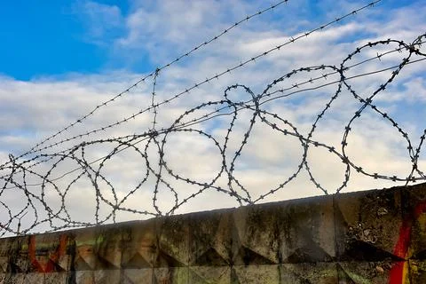Barbed wire on a blue sky background. Stock Illustration