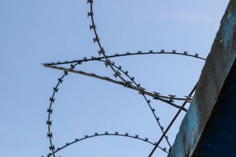 Barbed wire on blue sky background Stock-Fotos