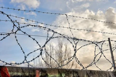 Barbed wire on a blue sky background. Stock Photos