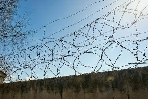 Barbed wire on a blue sky background. Stock Photos