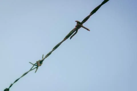 Barbed wire on blue sky background. Selective focus. Copy space. Stock Photos