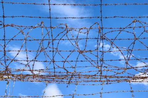 Barbed wire blue sky Foto stock