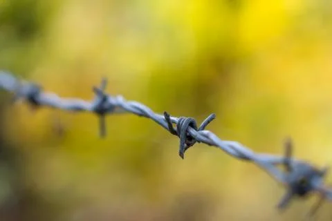Barbed wire blur Stock Photos