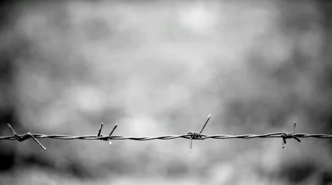 Barbed wire in the blurry background Stock Footage 800766