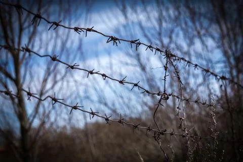 Barbed wire border Stock Photos