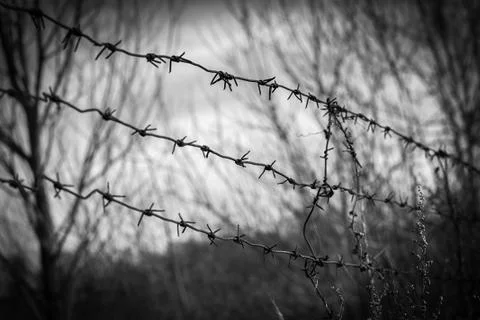 Barbed wire border Stock Photos