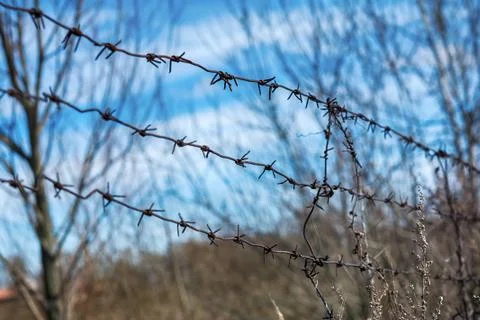 Barbed wire border Stock Photos