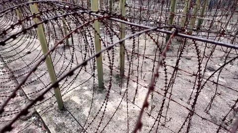 Barbed Wire Boundaries, Silent Sentinels 動画素材 261167643