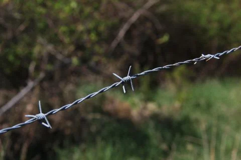 Barbed wire with burred image of field Stock Photos