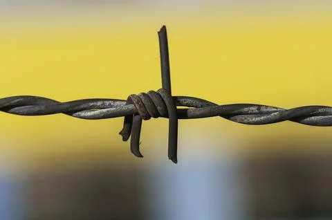 Barbed wire close up 1 Stock Photos