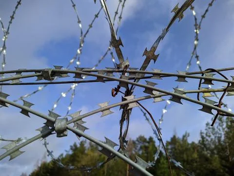 Barbed wire close up on background of blue sky and forest at daytime Stock Photos