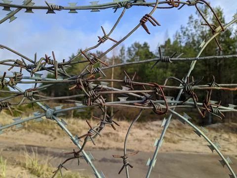 Barbed wire close up on background of blue sky and forest at daytime Stock-Fotos