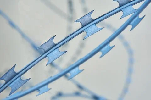 Barbed wire close-up on a beige background. Abstract background. Stock Photos