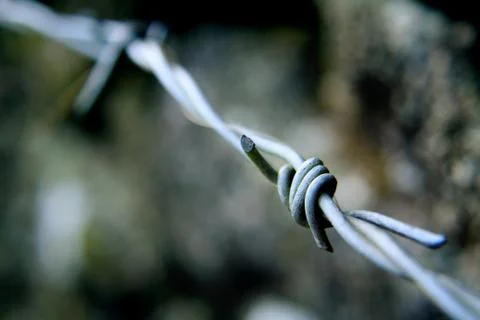 Barbed Wire - Close Up, Blurred Background - Industrial, Danger Stock Photos