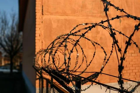 Barbed wire close-up. Conclusion, restriction of freedom. Stock Photos