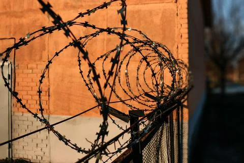 Barbed wire close-up. Conclusion, restriction of freedom. Stock Photos