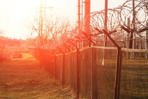 Barbed wire close-up. Conclusion, restriction of freedom. Stock Photos