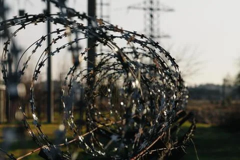 Barbed wire close-up. Conclusion, restriction of freedom. Stock Photos