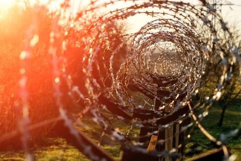 Barbed wire close-up. Conclusion, restriction of freedom. Stock Photos