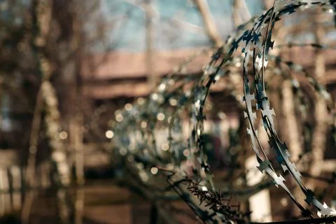 Barbed wire close-up. Conclusion, restriction of freedom. Stock Photos