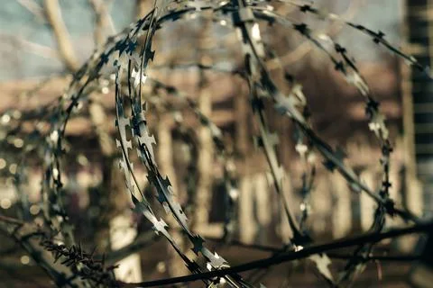 Barbed wire close-up. Conclusion, restriction of freedom. Stock Photos