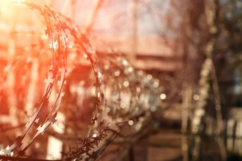 Barbed wire close-up. Conclusion, restriction of freedom. Stock Photos