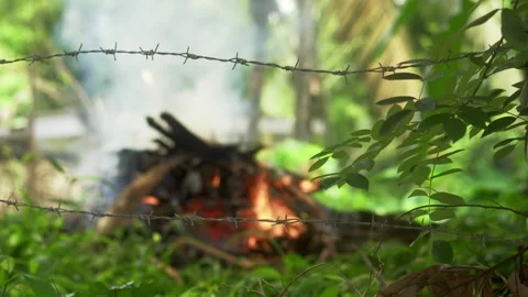 Barbed Wire close with fire Stock Footage 309748433