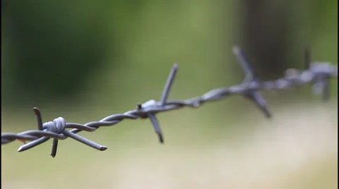 Barbed wire, close up Video stock 32255161
