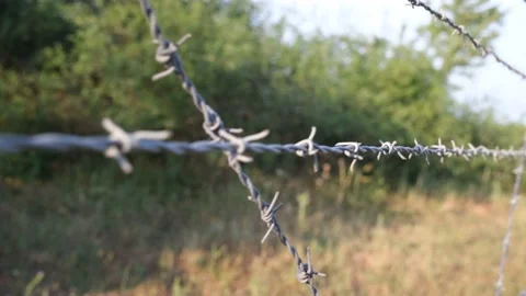 Barbed wire close up Stock Footage 205834234