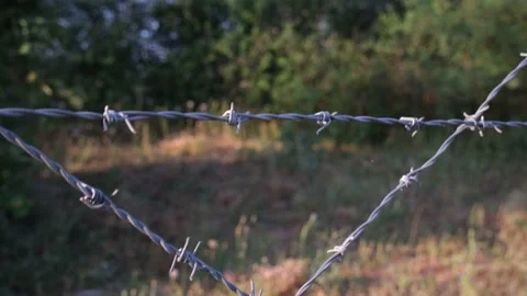 Barbed wire close up Stock Footage 205834467