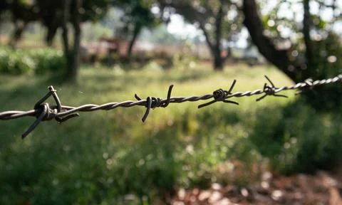 Barbed Wire close up image Stock Photos
