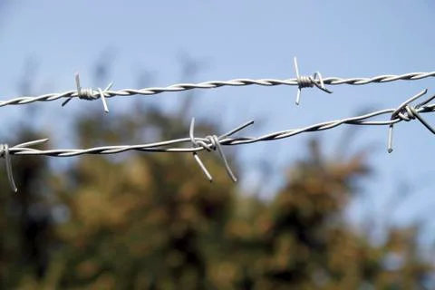 Barbed wire close up Stock Photos